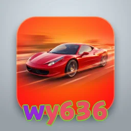 wy636